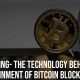 Mining The Technology behind Sustainment of Bitcoin Blockchain